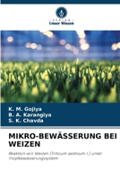 MIKRO-BEWÄSSERUNG BEI WEIZEN: Reaktion von Weizen (Triticum aestivum l.) unter Tropfbewässerungssystem (German Edition) 6207603540 Book Cover