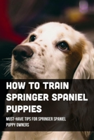 How To Train Springer Spaniel Puppies: Must-Have Tips For Springer Spaniel Puppy Owners: Raising A Springer Spaniel Puppy B09BSXZNT8 Book Cover