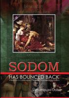 Sodom Has Bounced Back: A Response to Contemporary Challenges Faced by Young Christians 1326059033 Book Cover