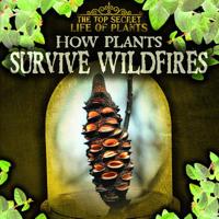 How Plants Survive Wildfires 1538233878 Book Cover