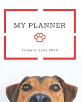 My Planner: January - June 2020 Busy Woman Planner 8x10 Vertical Undated Organizer Monthly, Weekly, & Daily Pages Year Goals With Action Steps 1676910999 Book Cover
