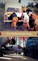Ein Hebammenweg: Briefe und Tagebuchnotizen aus vier Kontinenten 3757852729 Book Cover