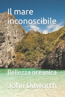 Il mare inconoscibile: Bellezza oceanica B0BCRXDNQH Book Cover
