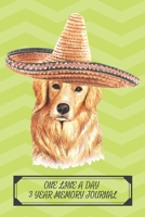 One Line a Day Three Year Memory Journal: Microjournal to Preserve Important Memories Dated entries from January 1 2020 to December 31 2022 Golden Retriever with sombrero 1670921948 Book Cover