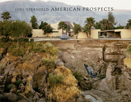 Joel Sternfeld: American Prospects 1935202979 Book Cover