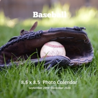 Baseball 8.5 X 8.5 Calendar September 2019 -December 2020: Monthly Calendar with U.S./UK/ Canadian/Christian/Jewish/Muslim Holidays-Softball Sports and Recreation 1070529052 Book Cover