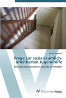 Wege zur sozialräumlich-orientierten Jugendhilfe 3639440676 Book Cover