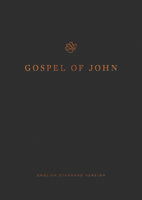 The Gospel of John: A Translation in Verse 0310452643 Book Cover