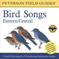 A Field Guide to Bird Songs: Eastern and Central North America (Peterson Field Guides) 0618225943 Book Cover