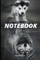 Lined Notebook / Journal Gift, 120 Pages, 6x9, Soft Cover: For Women/Men/Boss/Coworkers/Colleagues/Students/Friends. 165067709X Book Cover