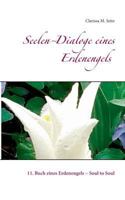 Seelen-Dialoge eines Erdenengels: 11. Buch eines Erdenengels - Soul to Soul 3746048028 Book Cover