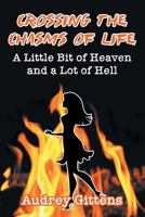Crossing the Chasms of Life: A Little Bit of Heaven and a Lot of Hell 168181837X Book Cover