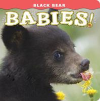 Black Bear Babies! (Babies! 1560375183 Book Cover