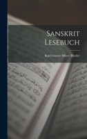 Sanskrit Lesebuch 129301270X Book Cover