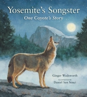 Yosemite's Songster: One Coyote's Story 1930238347 Book Cover