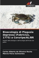 Bioecologia di Plagusia depressa (Fabricius, 1775) a Coruripe/AL/BR (Italian Edition) 6208417899 Book Cover