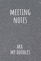 Meeting Notes AKA My Doodles: Secretary Logbook Journal for Meetings Business Organizer Notebook 1676486720 Book Cover