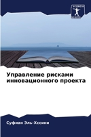 Управление рисками инновационного проекта 620413258X Book Cover