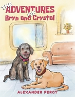 The Adventures of Bryn and Crystal 1398404608 Book Cover
