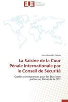 La Saisine de La Cour Pa(c)Nale Internationale Par Le Conseil de Sa(c)Curita(c) 3841734553 Book Cover