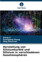 Herstellung von Siliziumkarbid und Silizium in verschiedenen Gasatmosphären (German Edition) 620851245X Book Cover