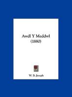 Awdl Y Meddwl 1162425954 Book Cover