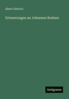 Erinnerungen an Johannes Brahms 3563167737 Book Cover