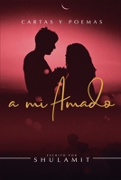 Cartas y Poemas a mi Amado B08D4V8DDF Book Cover
