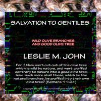 Salvation to Gentiles: Wild Olive Branches and Good Olive Tree 0989028372 Book Cover