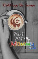 How I Met My Mommy 1717899374 Book Cover