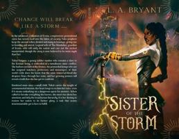 SISTER OF THE STORM B0FHYCDS7J Book Cover