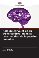 Rôle du cervelet et du tronc cérébral dans la construction de la psyché humaine 6207584139 Book Cover