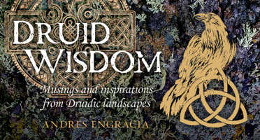 Druid Wisdom: Musings and inspirations from Druidic landscapes 1922579459 Book Cover