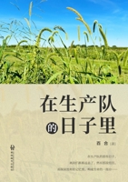 ???????? (Chinese Edition) 1683728300 Book Cover