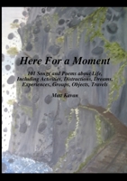Here for a Moment 1312368845 Book Cover