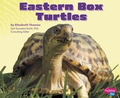 Eastern Box Turtles (Pebble Plus: Reptiles) 1429666439 Book Cover