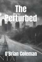 The Perturbed B0FL95R6K5 Book Cover