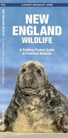 New England Wildlife: A Folding Pocket Guide to Familiar Species 1583551735 Book Cover