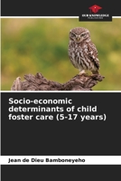 Socio-economic determinants of child foster care 6204128442 Book Cover