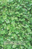 Anger Management Workbook for Inmate Rehab Therapy 1731591853 Book Cover