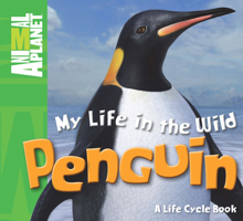 My Life in the Wild: Penguin 0753467240 Book Cover