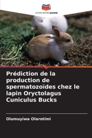 Prédiction de la production de spermatozoïdes chez le lapin Oryctolagus Cuniculus Bucks (French Edition) 6208258049 Book Cover