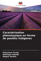 Caractérisation phénotypique en ferme de poulets indigènes (French Edition) 6209734235 Book Cover