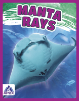 Manta Rays 1637380429 Book Cover