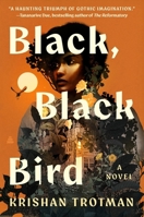 Black, Black Bird : A Novel 006357053X Book Cover