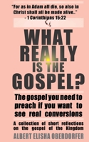 WHAT REALLY IS THE GOSPEL?: The Gospel You Need to Preach if You Want to See Real Conversions B099BYN8BH Book Cover
