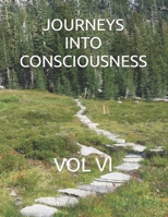 Journeys Into Consciousness: Vol VI 1070593052 Book Cover