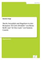 Macht, Sexualitat Und Begehren in Den Romanen "El Cielo Dividido" Von Reina Roffe Und "Al Otro Lado" Von Yanitzia Canetti 3638696529 Book Cover