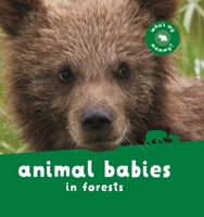 Animal Babies in Rain Forests (Animal Babies) 0753457881 Book Cover