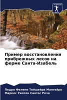 Пример восстановления п& 6207277368 Book Cover